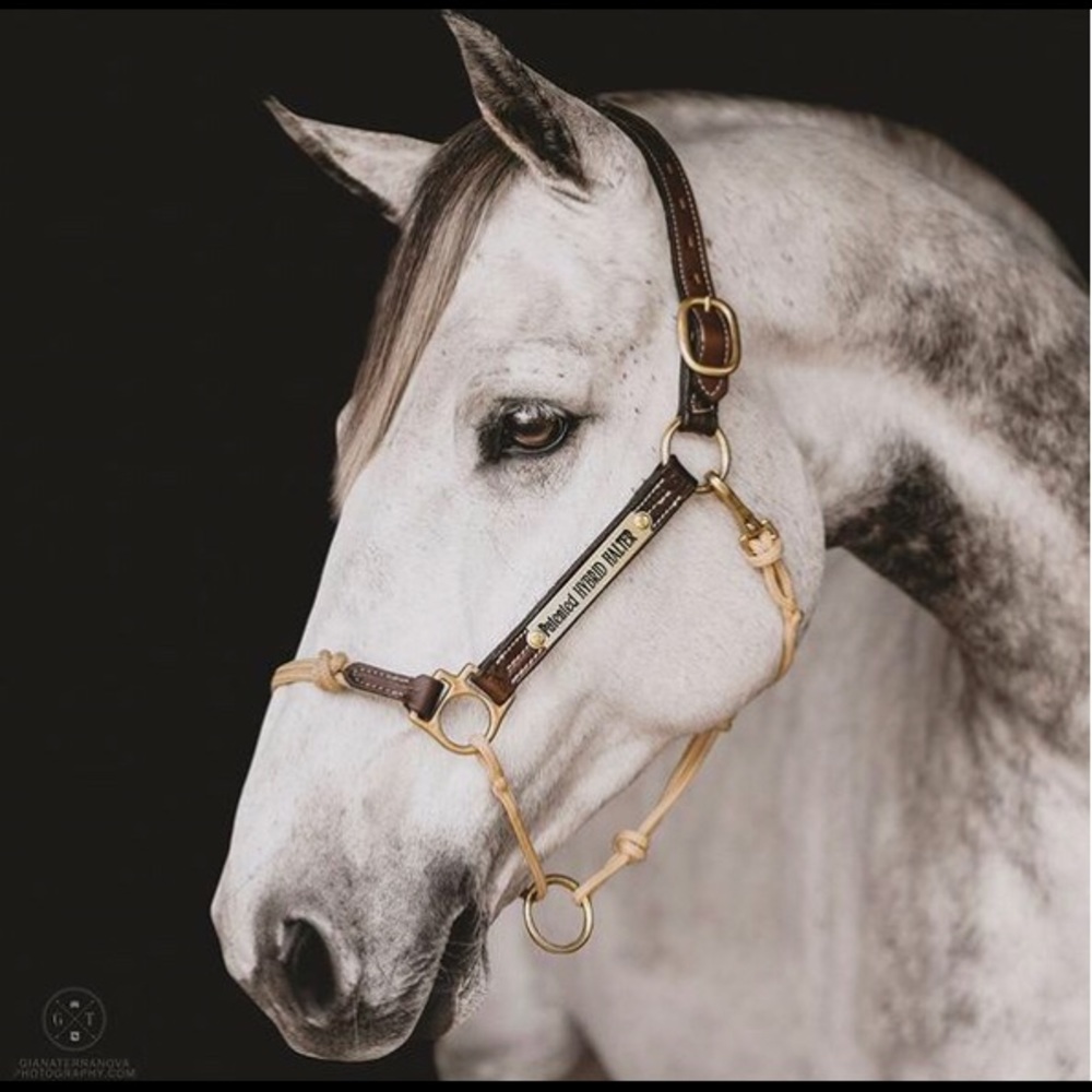 Meet your Posher, Terry